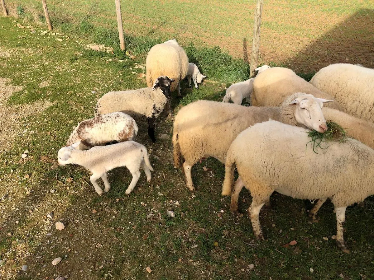Сasa de vacaciones Agroturisme Mas Can Font Ventalló España