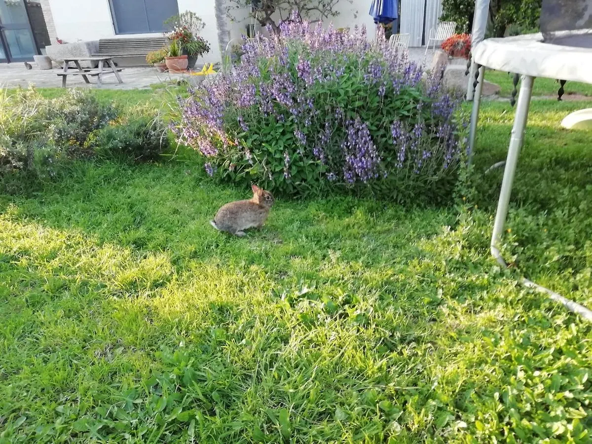 Agroturisme Mas Can Font Ventallo Holiday home